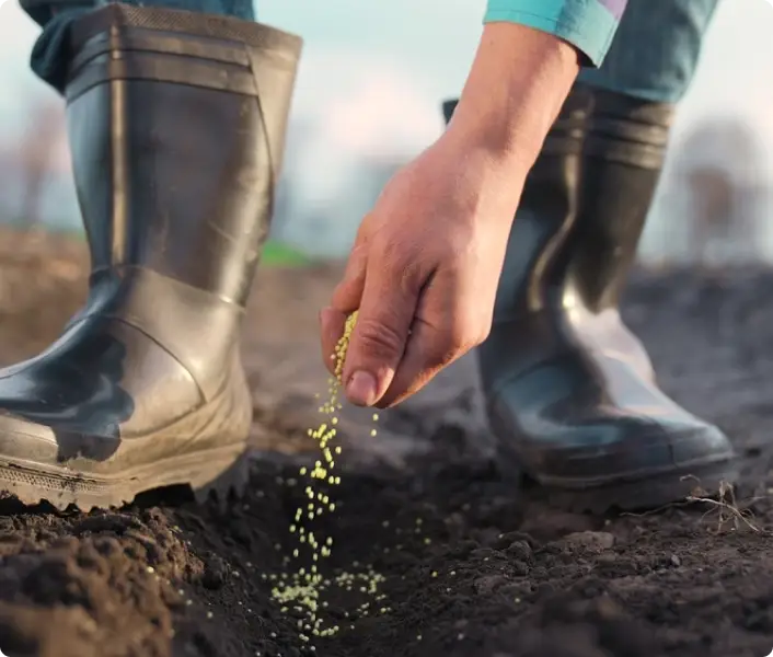 Farmer planting seeds in the ground